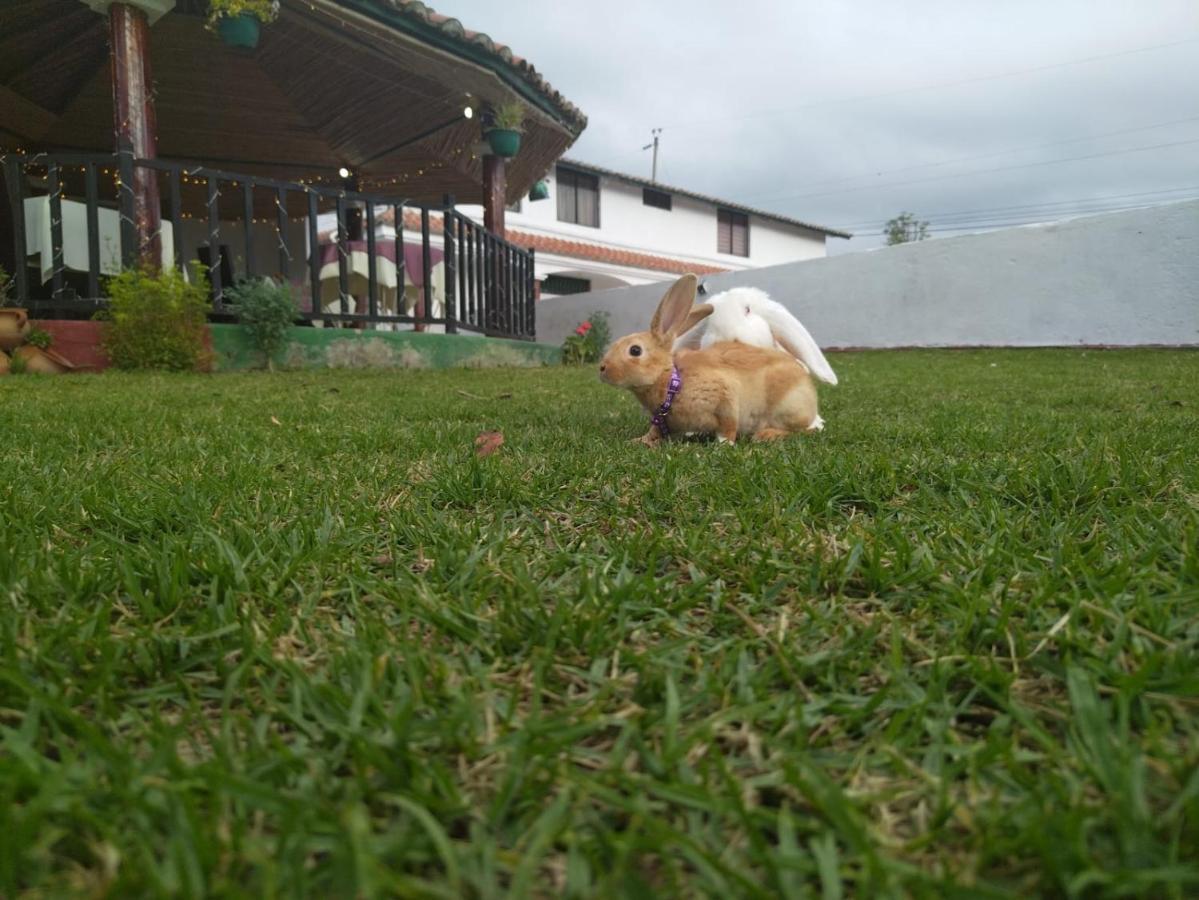 Quinta Winay Hotel Yaruqui Buitenkant foto